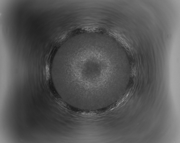 X0000087671106200705111152