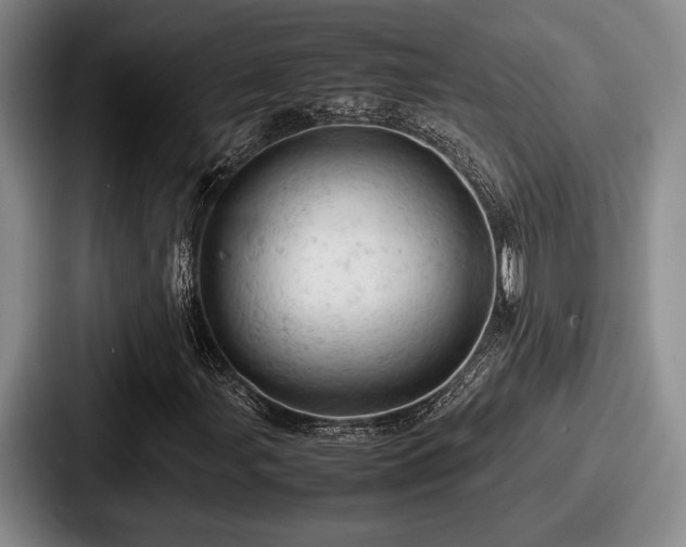 X0000087671107200705111152