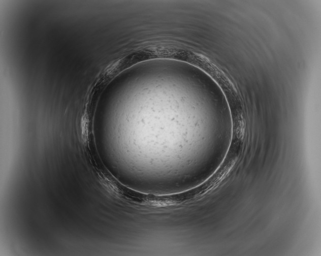 X0000087671108200705111152