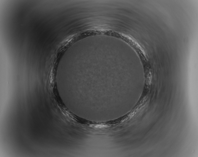 X0000087671110200705111152