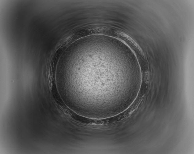 X0000087671111200705111152