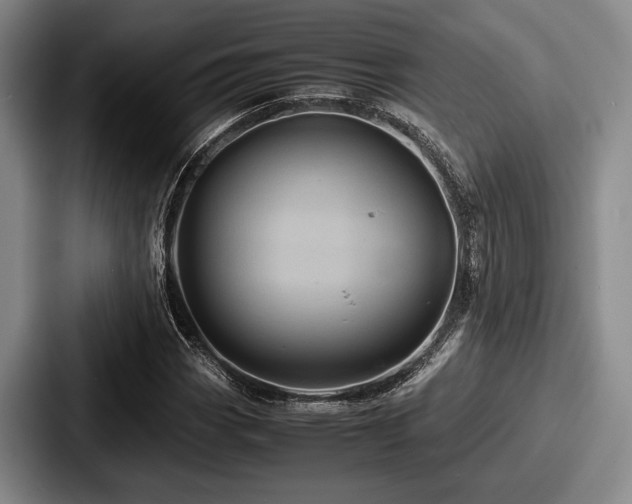 X0000087671113200705111152