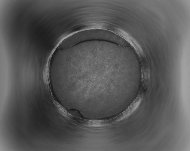 X0000087671116200705111152