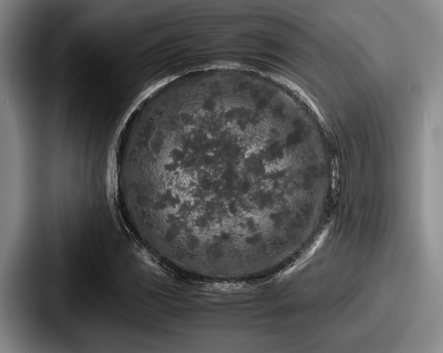 X0000087671117200705111152