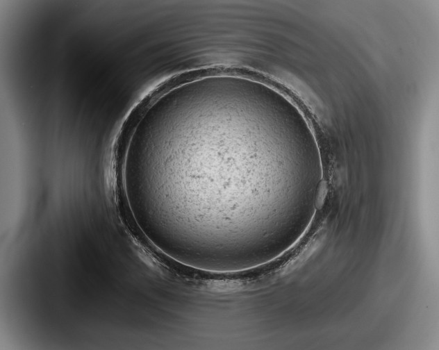 X0000087671118200705111152