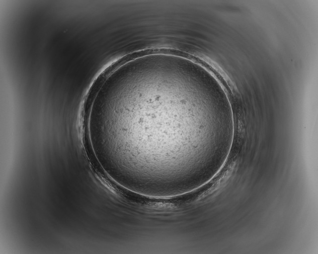 X0000087671119200705111152