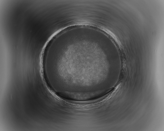 X0000087671120200705111152