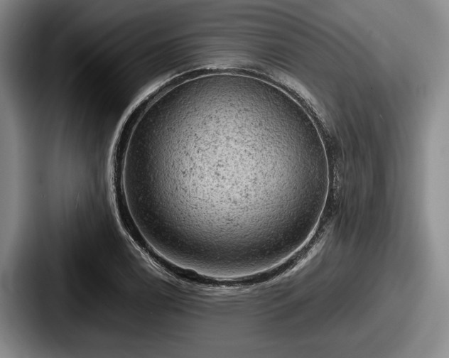 X0000087671122200705111152