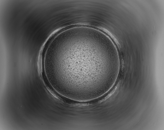 X0000087671123200705111152