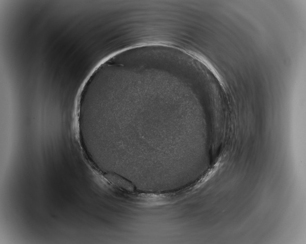 X0000087671124200705111152