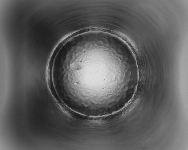 X0000087671125200705111152