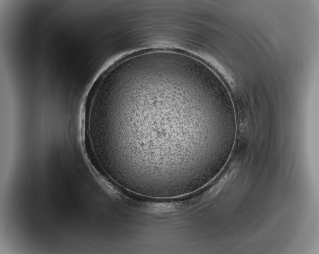 X0000087671126200705111152