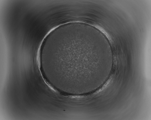 X0000087671127200705111152