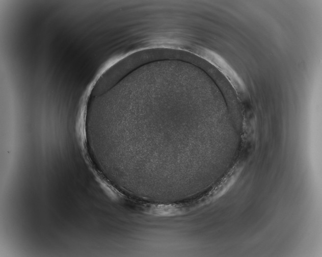 X0000087671128200705111152