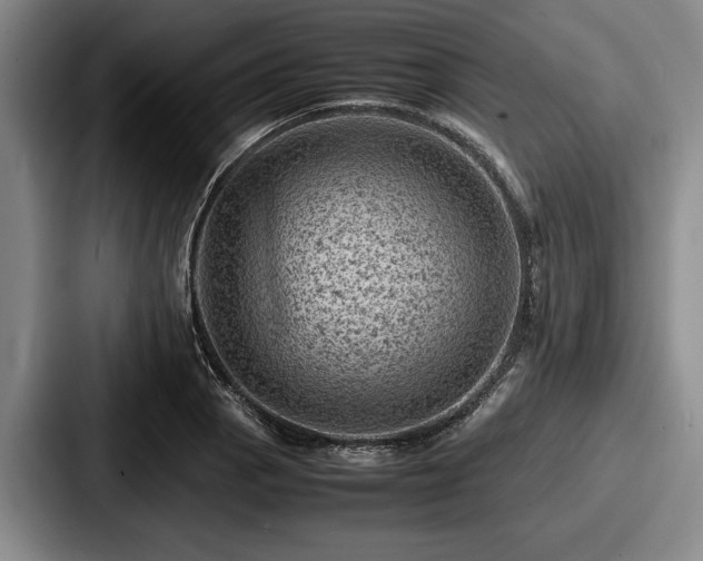 X0000087671129200705111152