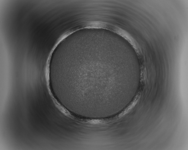 X0000087671130200705111152