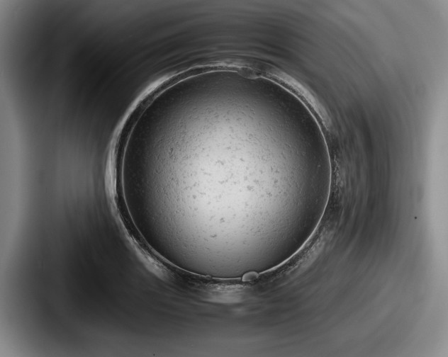 X0000087671131200705111152