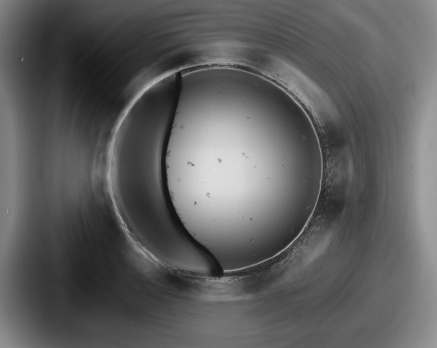 X0000087671132200705111152