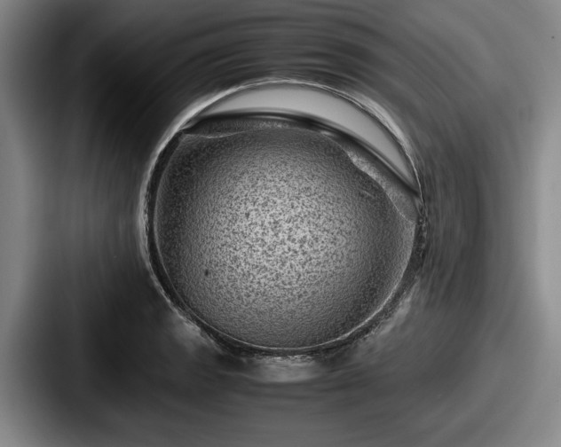 X0000087671133200705111152