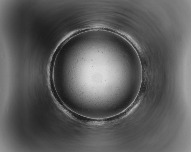 X0000087671134200705111152