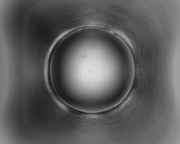 X0000087671136200705111152