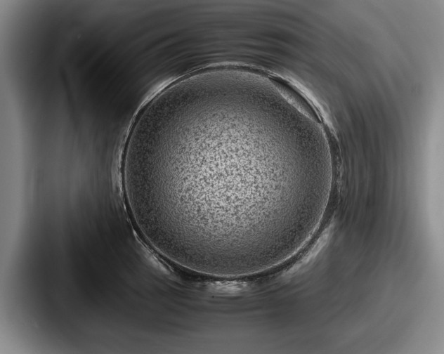 X0000087671137200705111152