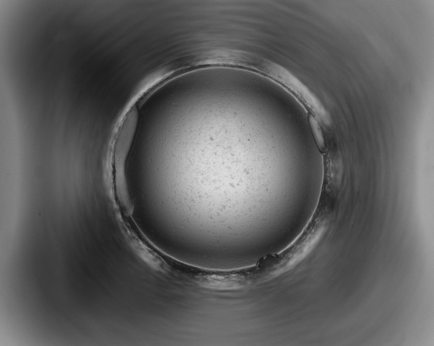 X0000087671138200705111152