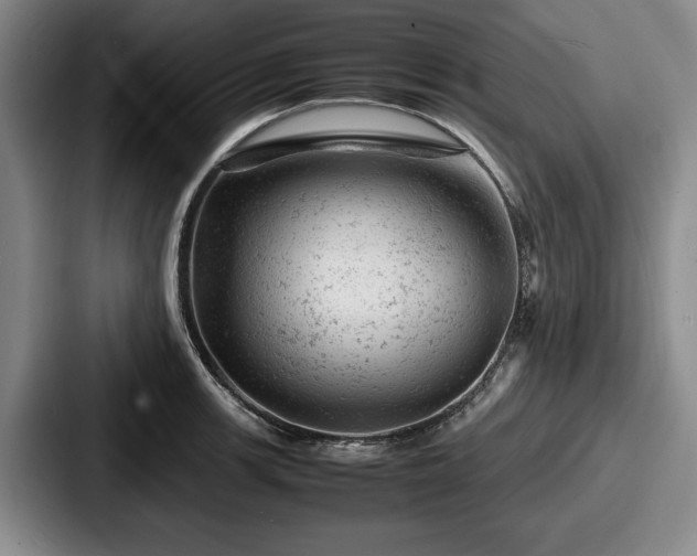 X0000087671139200705111152