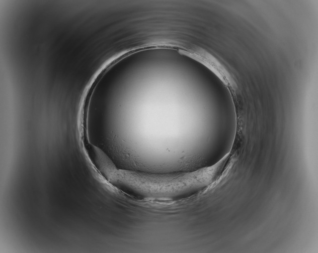 X0000087671140200705111152