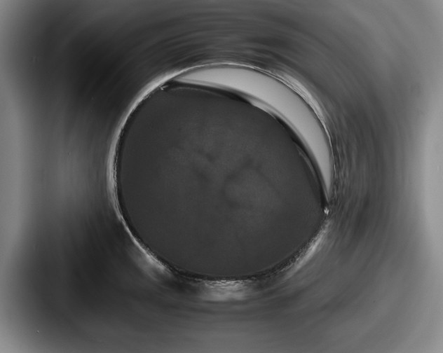 X0000087671141200705111152