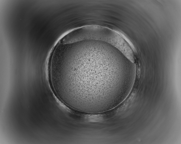 X0000087671143200705111152