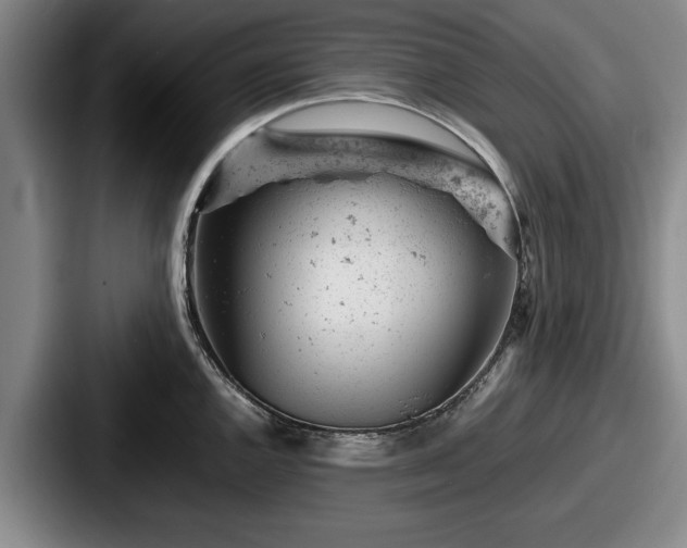 X0000087671144200705111152