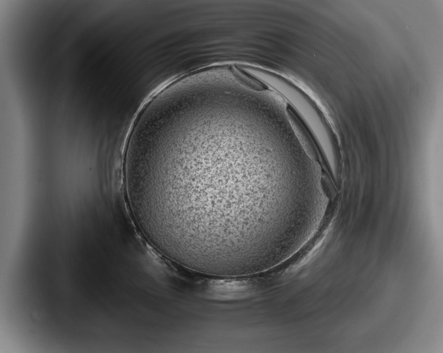 X0000087671145200705111152