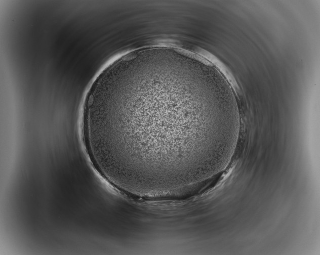 X0000087671147200705111152