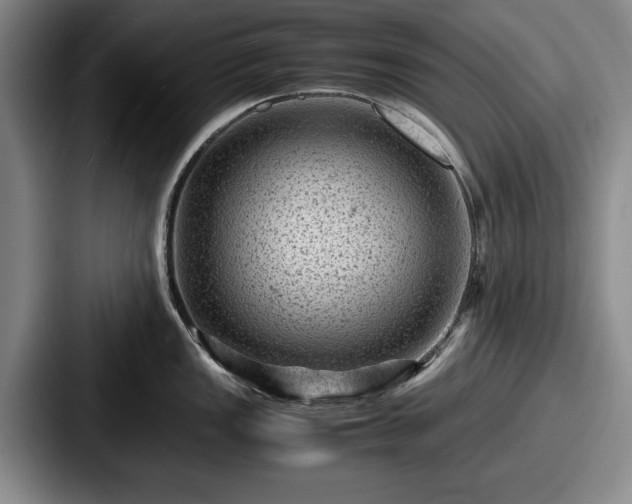 X0000087671149200705111152