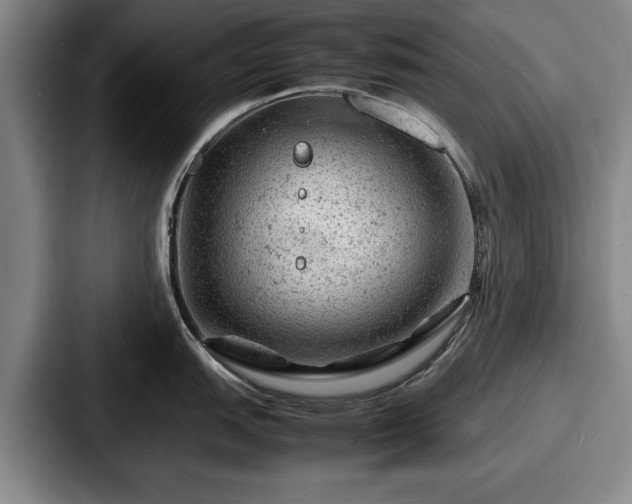 X0000087671151200705111152