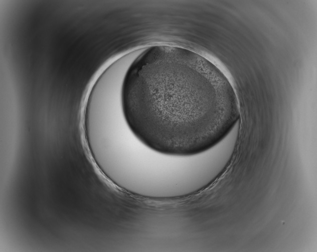 X0000087671152200705111152