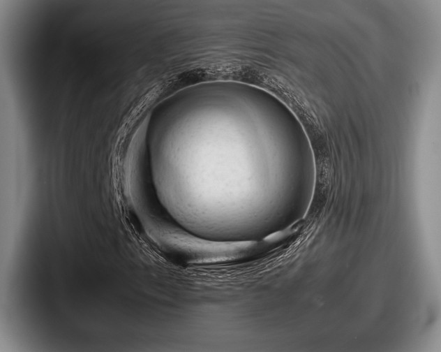 X0000087671153200705111152