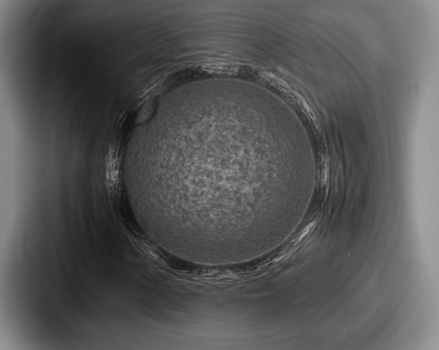 X0000087671154200705111152