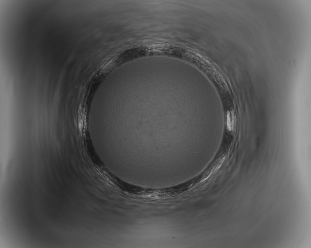 X0000087671155200705111152