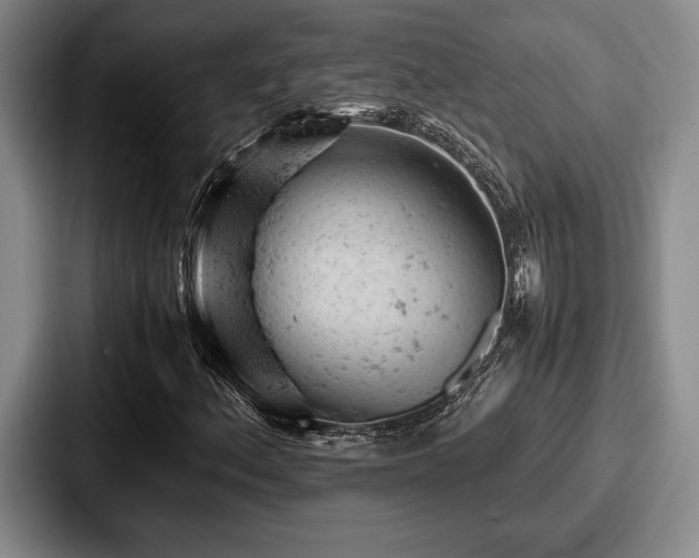 X0000087671156200705111152