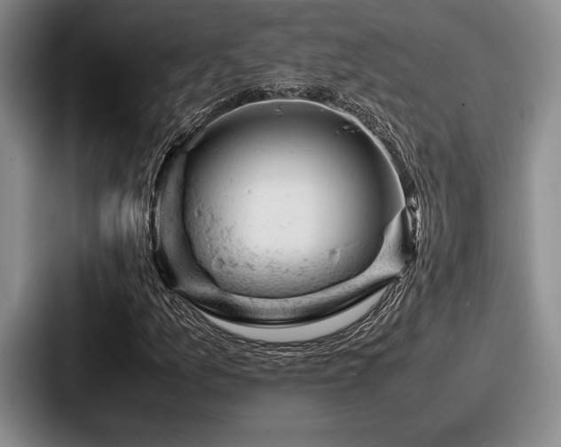 X0000087671157200705111152