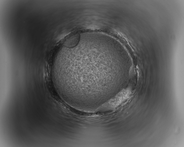 X0000087671158200705111152