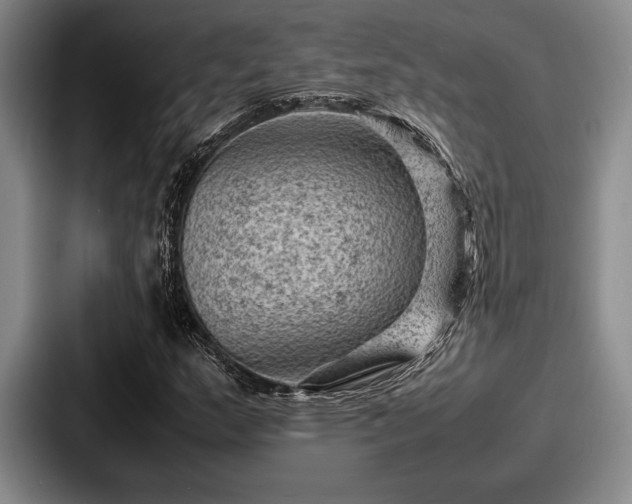 X0000087671159200705111152