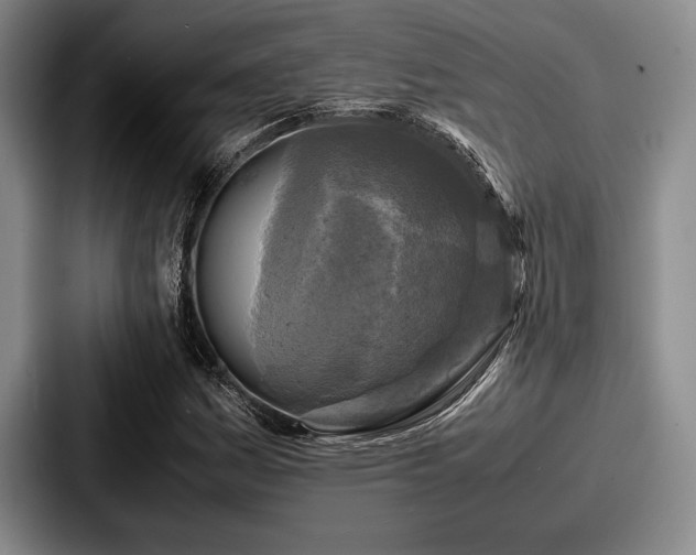 X0000087671161200705111152