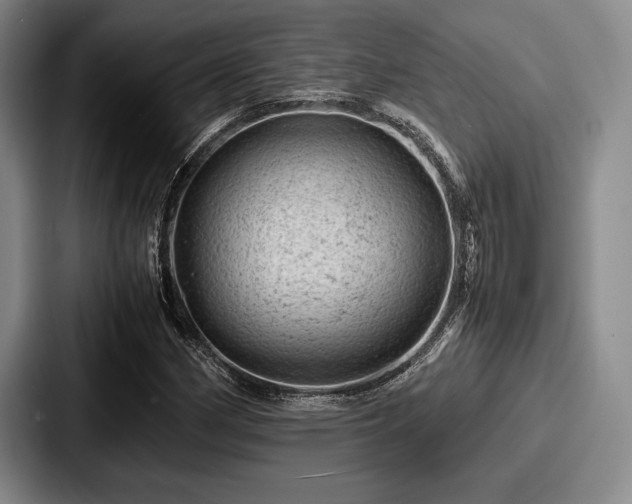 X0000087671162200705111152