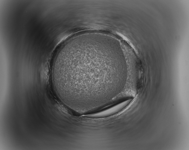 X0000087671163200705111152