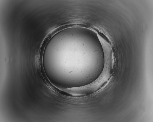 X0000087671164200705111152