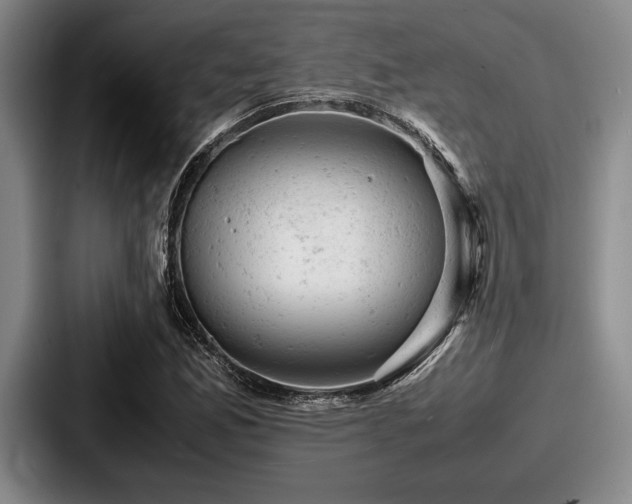 X0000087671165200705111152