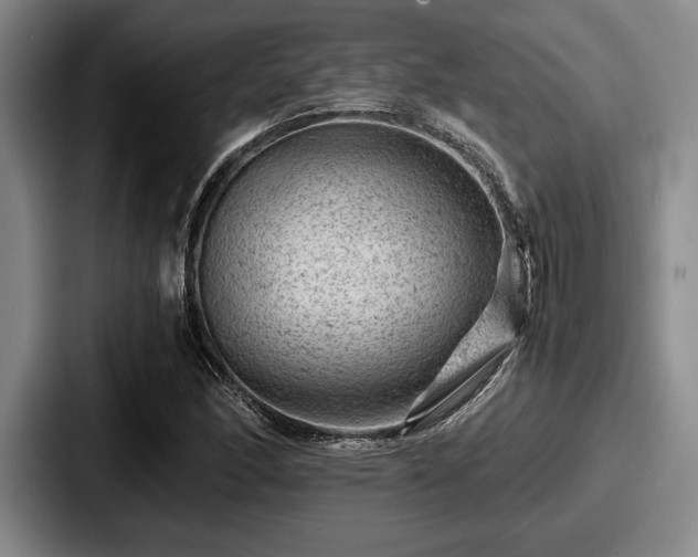 X0000087671166200705111152